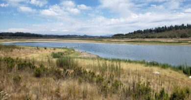 Revelan impacto de la Mega sequía en la Región de Valparaíso