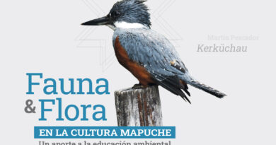 Lanzan libro sobre flora y fauna Mapuche