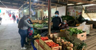 Buscan medidas para fortalecer seguridad en feria El Belloto