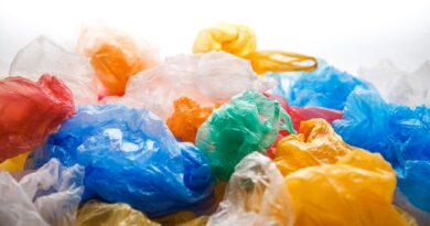 Investigación de la UNAB mediría la contaminación por plástico en el borde costero chileno