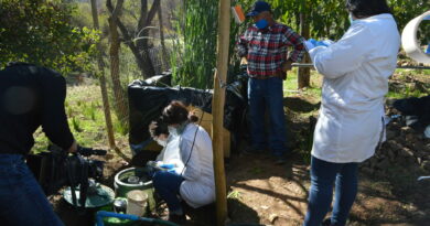 Familia de Colliguay instaló humedal depurador para reutilización de aguas