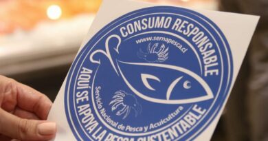 Sernapesca abre nueva postulación para obtener el Sello Azul, distintivo de compromiso con la pesca sustentable