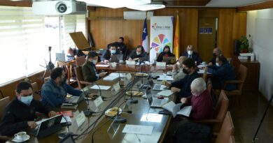 Viña confirma innovador espectáculo de año nuevo con tecnología y bajo ruido