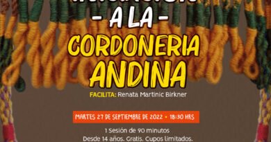 Museo Fonck presenta taller online de iniciación a la Cordonería Andina