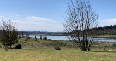 BALANCE HÍDRICO DE ESVAL: Pese a las lluvias del invierno, la sequía sigue siendo extrema