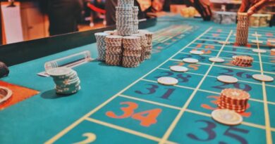 La ruleta y las particularidades que presentan sus variantes