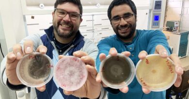 Jóvenes investigadores viajarán a la Antártica para encontrar hongos que podrían controlar el Alzheimer