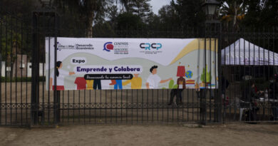 Vuelve feria ”Expo emprende y colabora” a Viña del Mar
