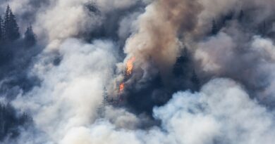 Caritas Chile invita a webinar: Buenas Prácticas para la gestión comunitaria de la Reducción del Riesgo de Desastres