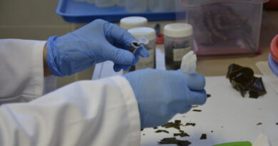 Implementarán pionero Observatorio Ambiental Académico en la región