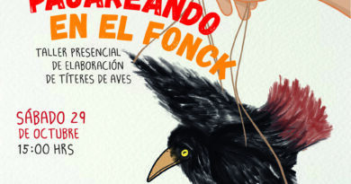 Taller de elaboración de títeres de aves se impartirá en Museo Fonck