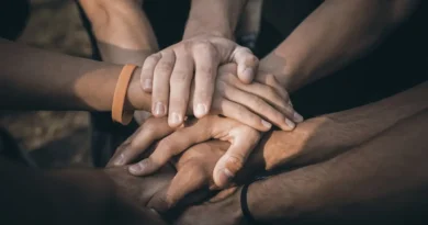 Dona en Ley: La solución rápida y transparente para las instituciones sin fines de lucro