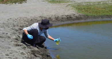 Debuta en 2023 en la UPLA carrera profesional que busca hacer frente a la megasequía en Chile