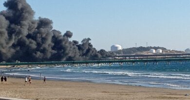 Incendio de proporciones al interior del Puerto Ventanas