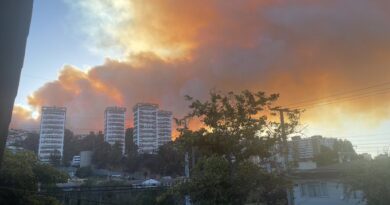 ALERTA ROJA: Evacuan zona siniestrada por incendio forestal en Viña del Mar