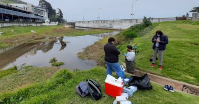 Estudio revela índices de contaminación por sobre la norma en Estero de Reñaca