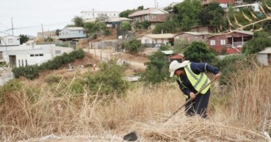 Más de 26 mil metros2 de cortafuegos y desmalezados ha realizado la Municipalidad de Villa Alemana en este 2022