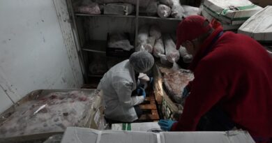 Más de una tonelada de carne en mal estado fue decomisada en Villa Alemana tras una intensa fiscalización a una distribuidora de alimentos