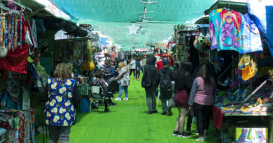 Ferias navideñas promueven el emprendimiento Viñamarino y ofrecen a la comunidad novedosos productos