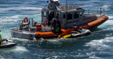 En Viña del Mar Armada y Municipio dan inicio a temporada de playas con simulacro de rescate