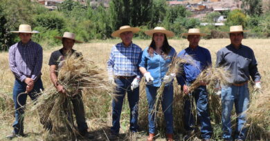 La Trilla a Yegua Suelta más grande de la Región de Valparaíso traerá tradiciones y folclor