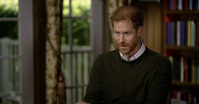 TVN emitirá polémica entrevista al príncipe Harry