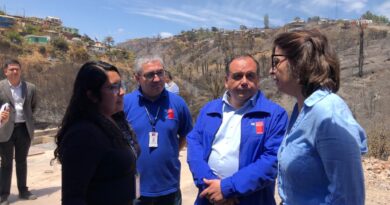 Más de 600 atenciones gratuitas han realizado organismos de Justicia, Bienes Nacionales y el Conservador de Bienes Raíces en zona siniestrada