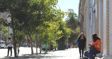 Inician obras para mejorar rutas peatonales de Avenida Pedro Montt