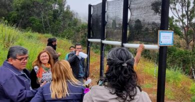 Vecinos de Playa Ancha instalan atrapanieblas para estudio de eficiencia hídrica y reutilización del agua
