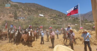 Tradicional trilla y rodeo se vivieron en Quebrada Alvarado en el marco del Festival del Huaso #Olmué2023