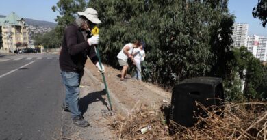 Vecinos de Rodelillo junto al municipio avanzan en prevención de incendios con operativo de desmalezado comunitario