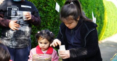 Colegios y Jardines Infantiles municipales de Villa Alemana logran Certificación Ambiental