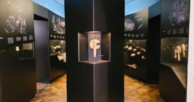 Presentan proyecto audiovisual para la Sala “Zona Central” del Museo Fonck