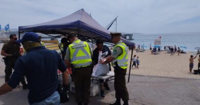 Aumenta fiscalización contra comercio ilegal en Viña del Mar: 20 carros de mojito y comida decomisados