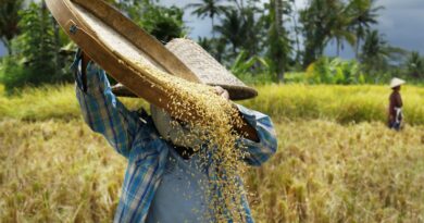 Buscan chilenos con ideas innovadoras para combatir el hambre mundial