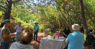 Junta de Vecinos recupera humedal de Quilpué con apoyo de fondo concursable de Esval