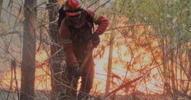 Alerta temprana preventiva en provincias de Valparaíso, Marga Marga y San Felipe por amenaza de incendios forestales