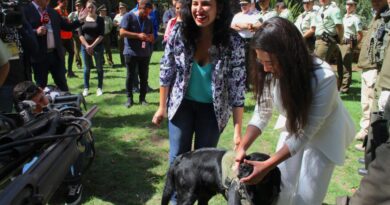Inauguran retenes policiales para fortalecer seguridad en la Quinta Vergara durante el Festival de Viña