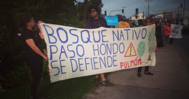 Organizaciones ambientales junto al Parque Cultural manifiestan la urgencia de cuidar los ecosistemas