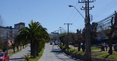 Renovarán más de 500 luminarias en Gómez Carreño