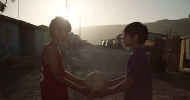 Red de Salas de Cine celebra en junio con programación gratuita en INSOMNIA