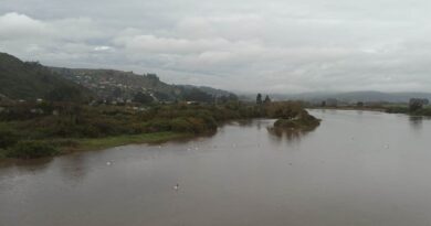 Activan alerta amarilla en la provincia de San Antonio por alta turbiedad del río Maipo