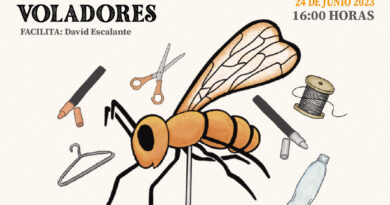 Realizarán taller gratuito sobre confección de un títere de insecto volador en Museo Fonck