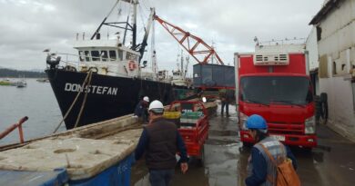 22 sumarios sanitarios ha cursado la Seremi de Salud a empresas del polo industrial de Concón, Quintero y Puchuncaví