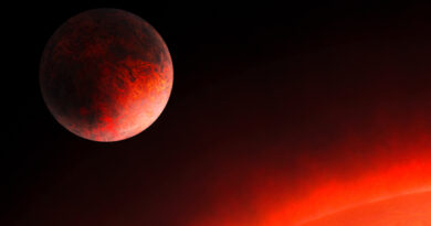 Científicos nacionales bautizan astros extrasolares con nombres de flores endémicas de Chile.