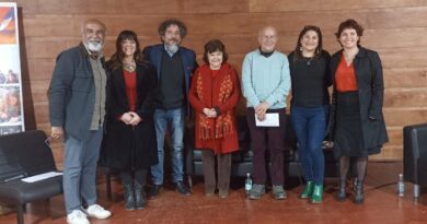 Exigen acelerar Ley de Artesanía: “Chile es el único país en Latinoamérica que no tiene una Ley de Artesanía y esto debe cambiar”