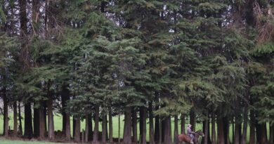 Nueva teleserie de Mega inicia recorrido que tendrá como escenario la Región de Los Lagos.