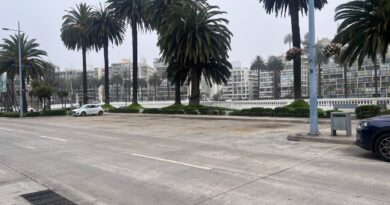 Ex sector de cocheros en Av. Los Héroes de Viña del Mar tendrá nuevos usos para la comunidad.