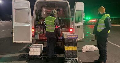 Operativos permitieron incautar 4 toneladas de merluza común.