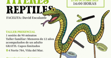 Museo Fonck invita a participar de taller gratuito para fabricar un títere inspirado en un reptil.